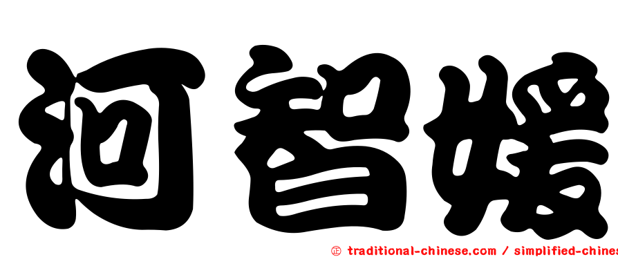 河智媛