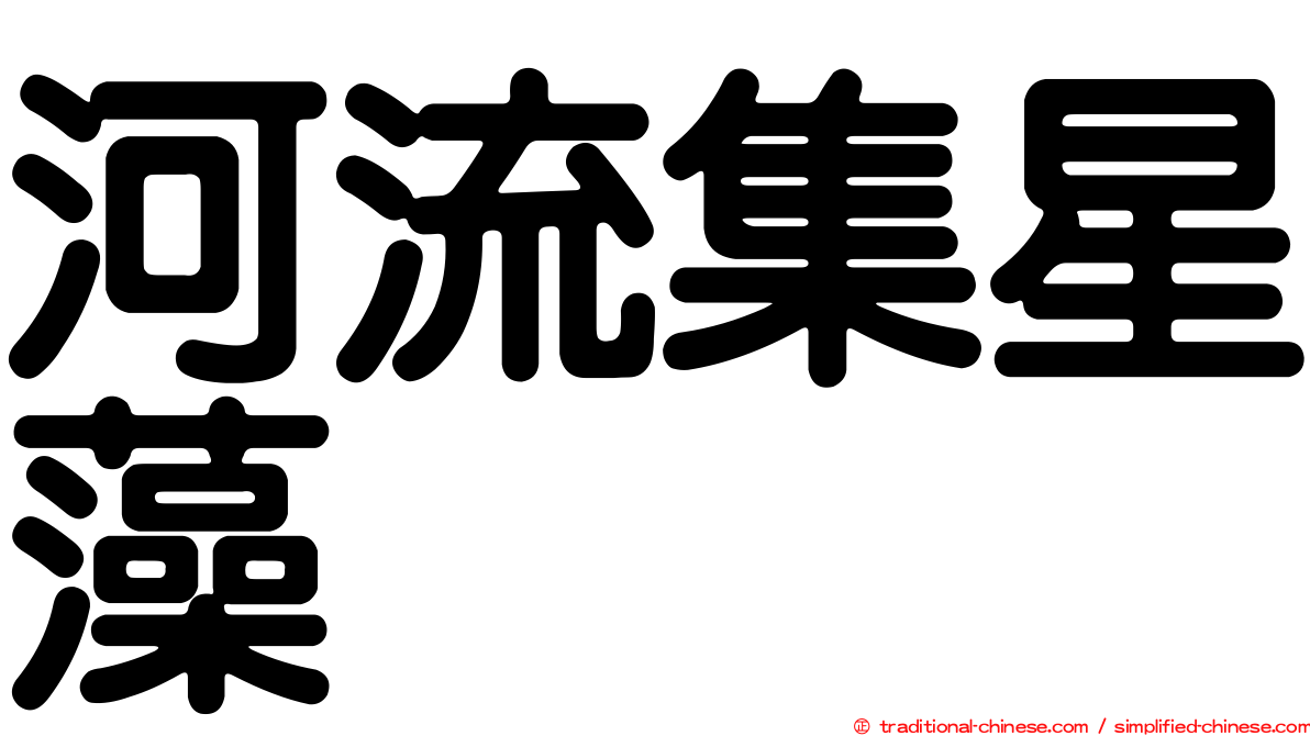 河流集星藻