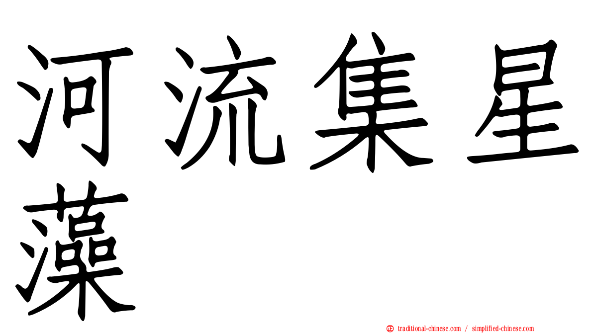 河流集星藻