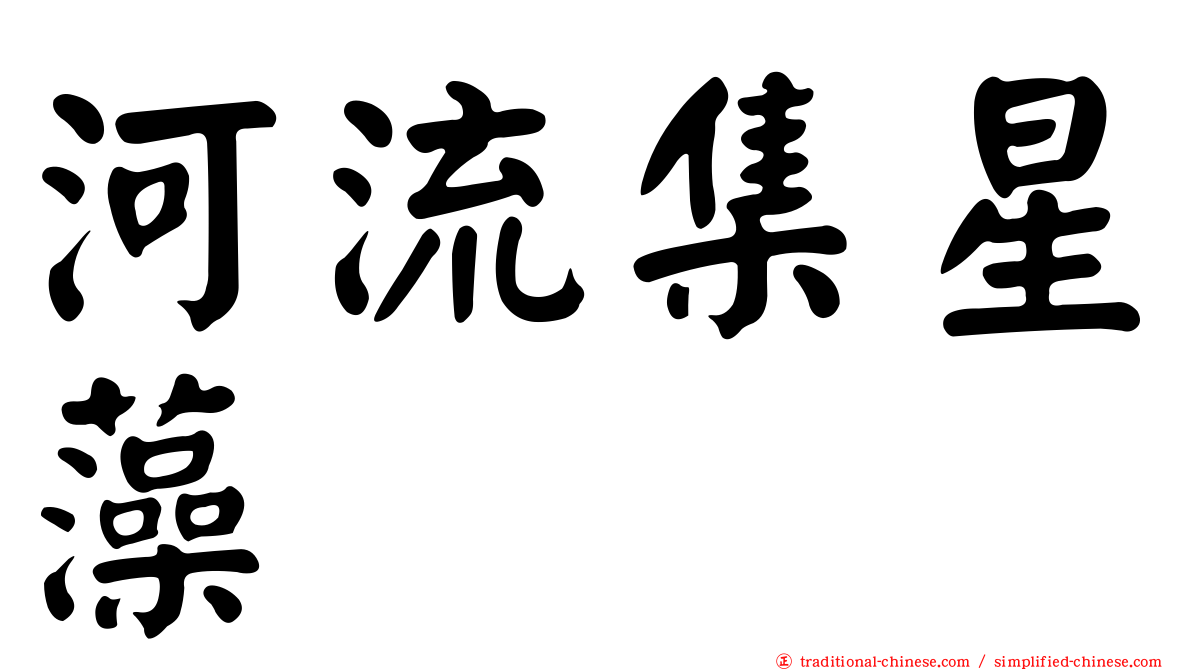 河流集星藻