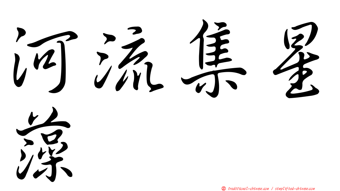 河流集星藻