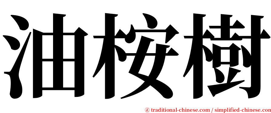 油桉樹 serif font