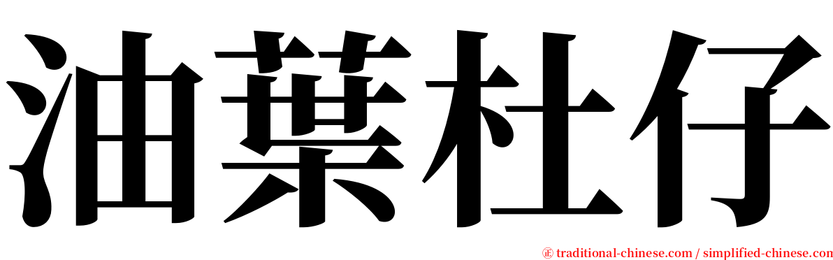 油葉杜仔 serif font