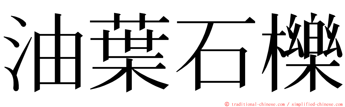 油葉石櫟 ming font
