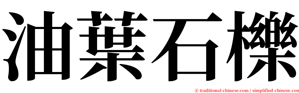 油葉石櫟 serif font