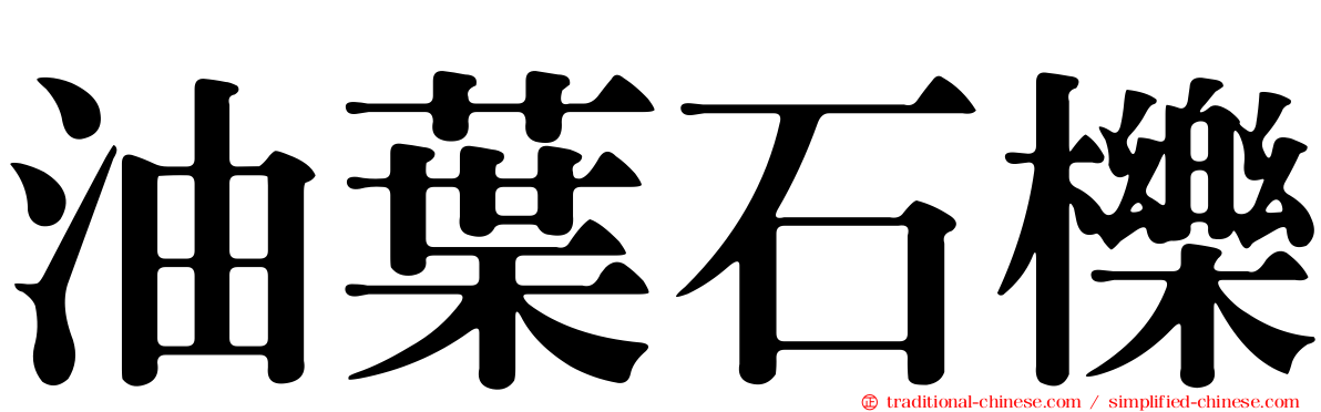 油葉石櫟