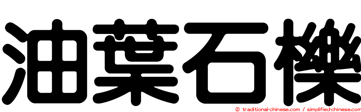 油葉石櫟