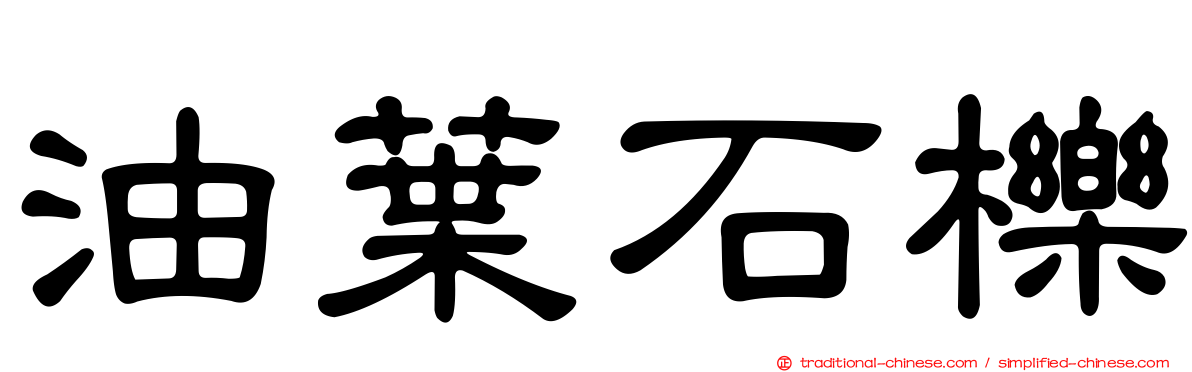 油葉石櫟