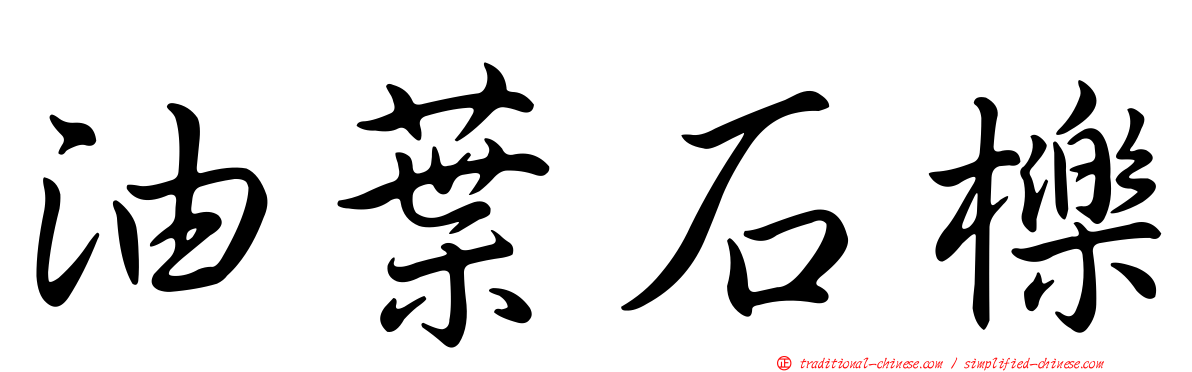 油葉石櫟
