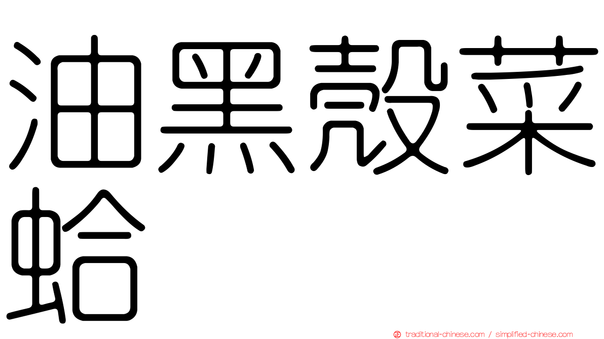 油黑殼菜蛤