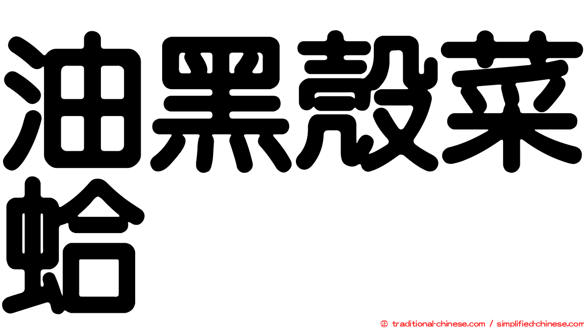 油黑殼菜蛤
