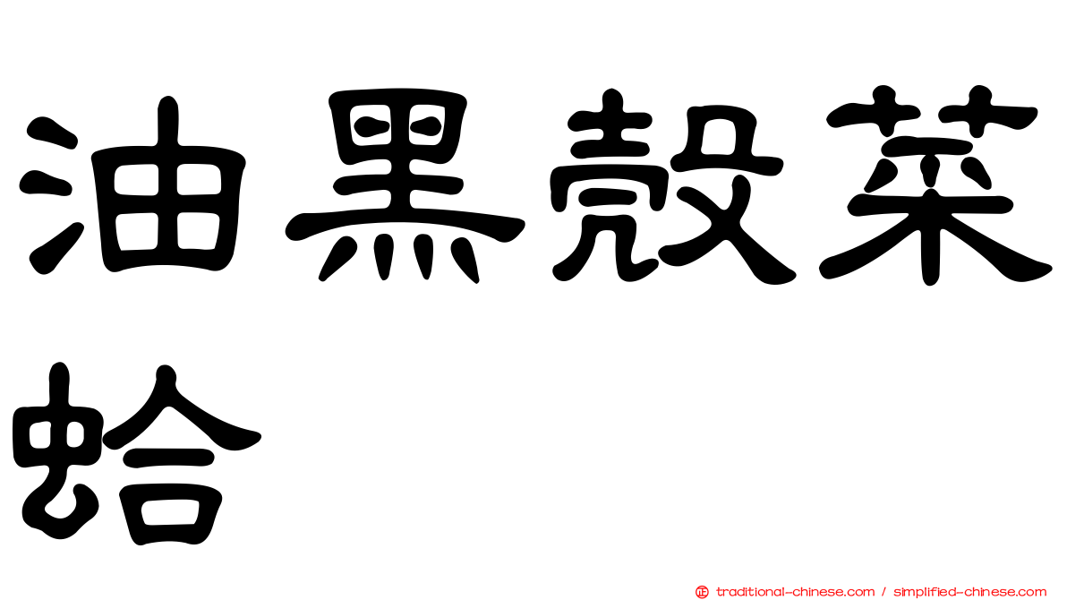 油黑殼菜蛤