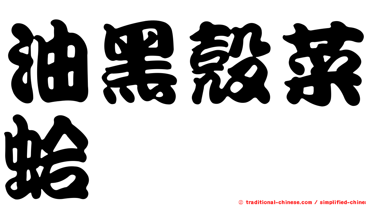 油黑殼菜蛤