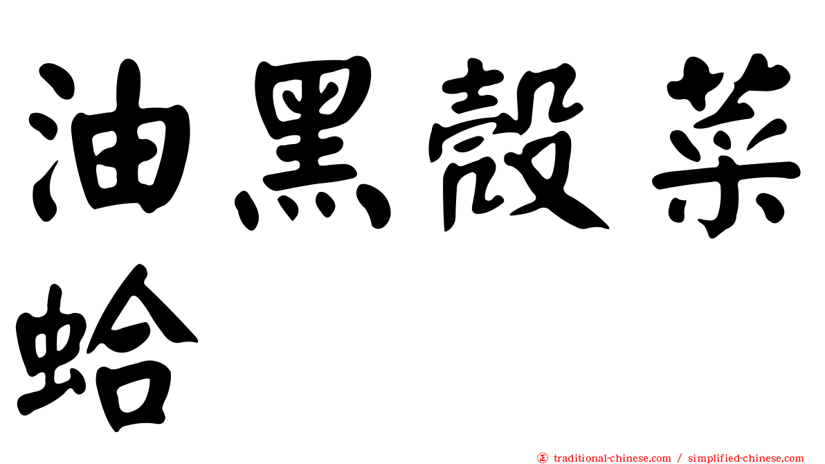 油黑殼菜蛤