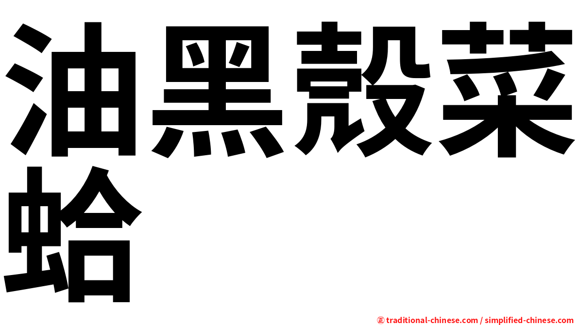 油黑殼菜蛤