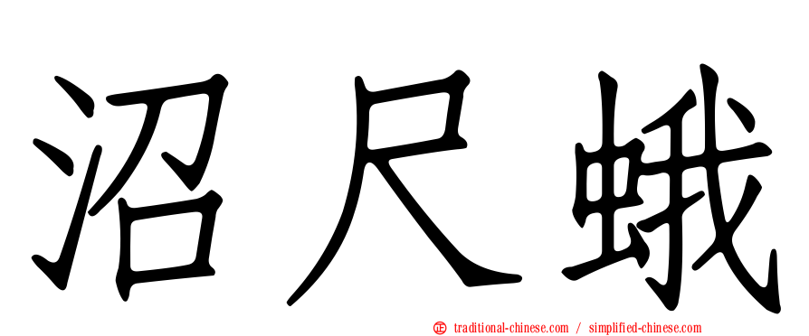 沼尺蛾