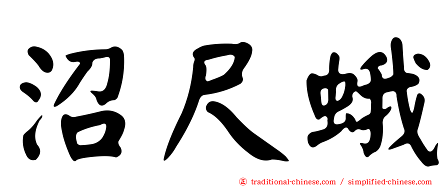 沼尺蛾