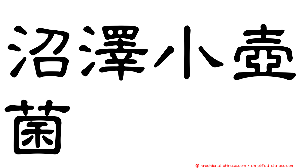 沼澤小壺菌