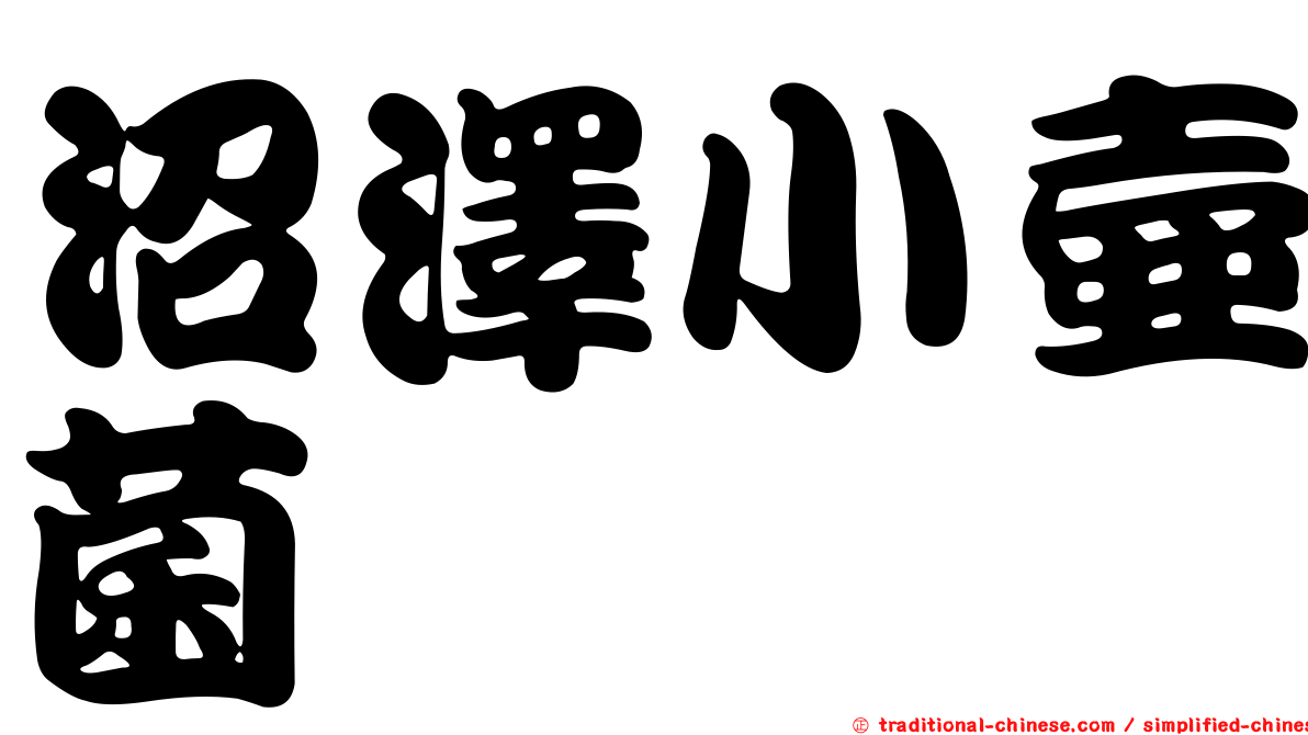 沼澤小壺菌