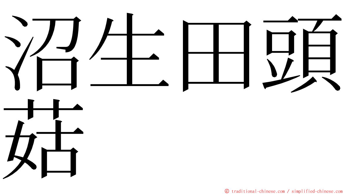沼生田頭菇 ming font