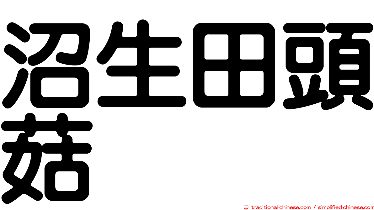 沼生田頭菇