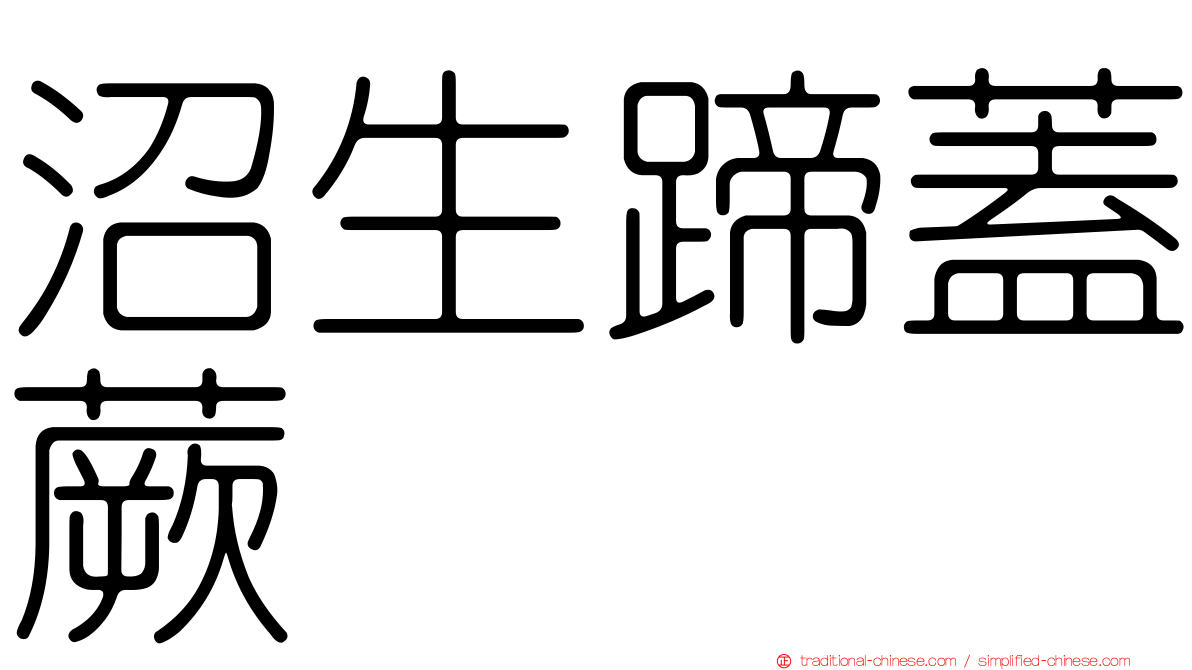 沼生蹄蓋蕨