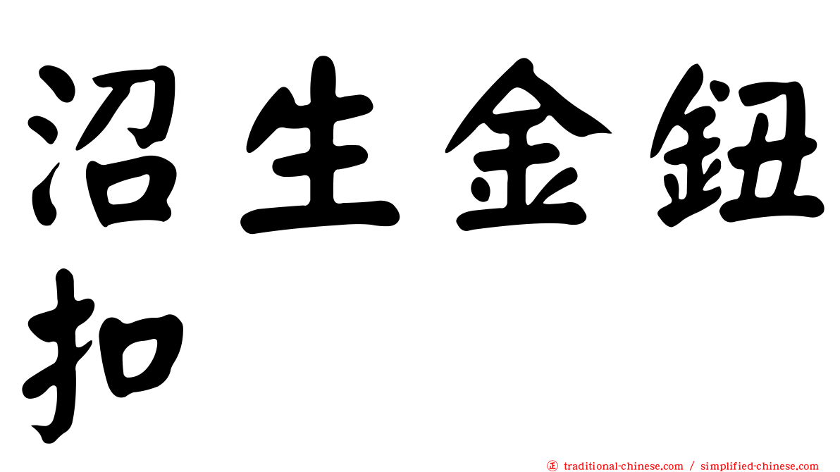 沼生金鈕扣