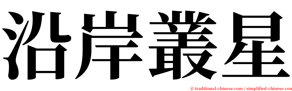 沿岸叢星 serif font