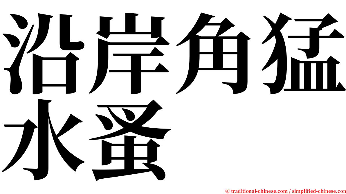 沿岸角猛水蚤 serif font