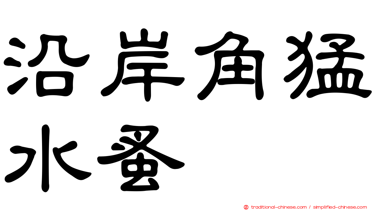 沿岸角猛水蚤