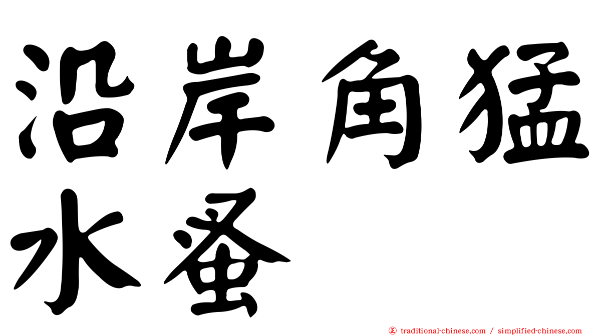 沿岸角猛水蚤