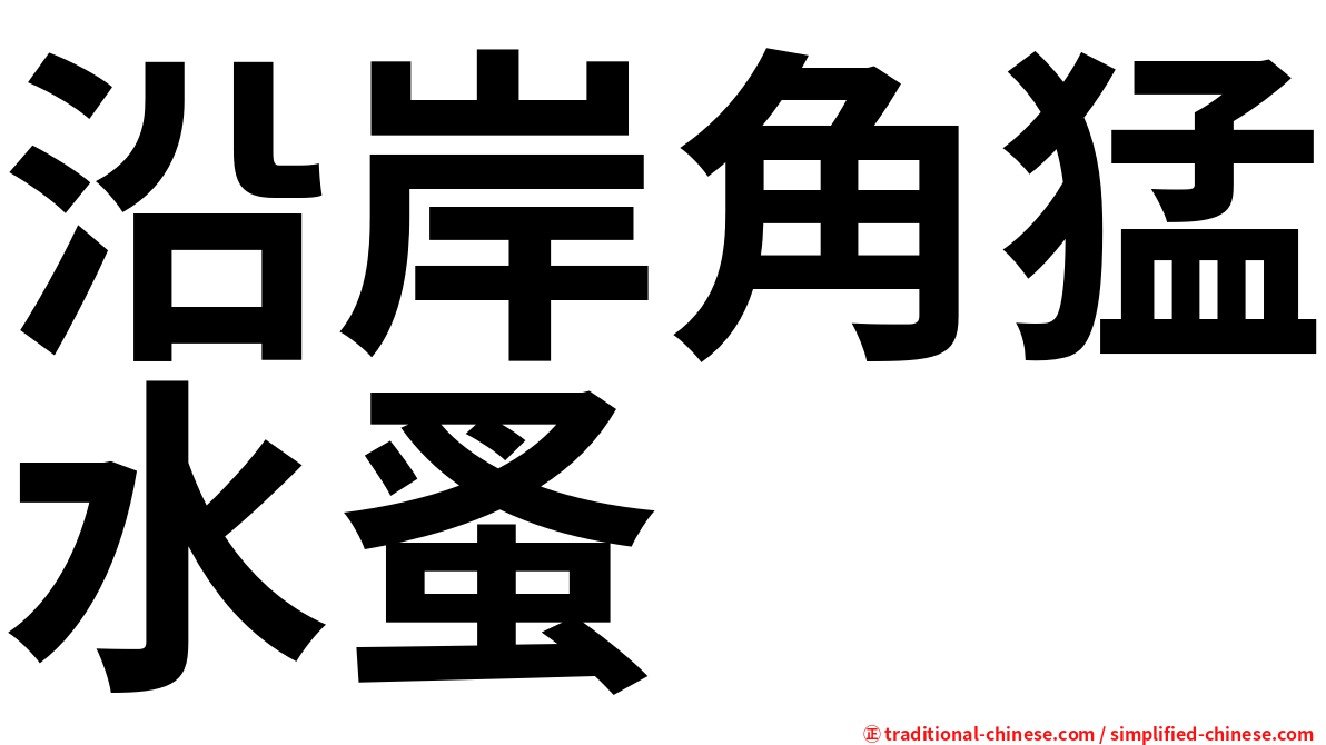 沿岸角猛水蚤