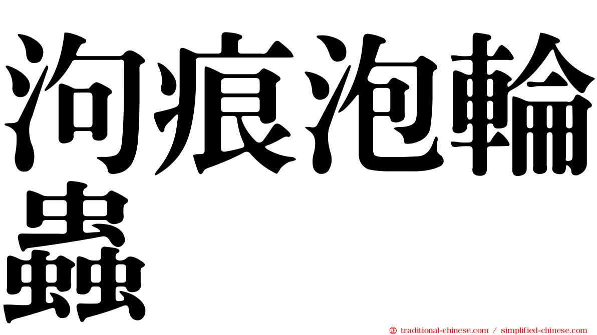 泃痕泡輪蟲