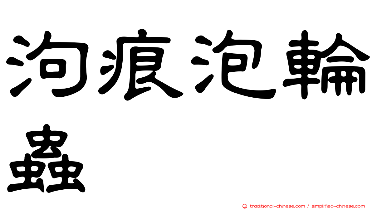 泃痕泡輪蟲