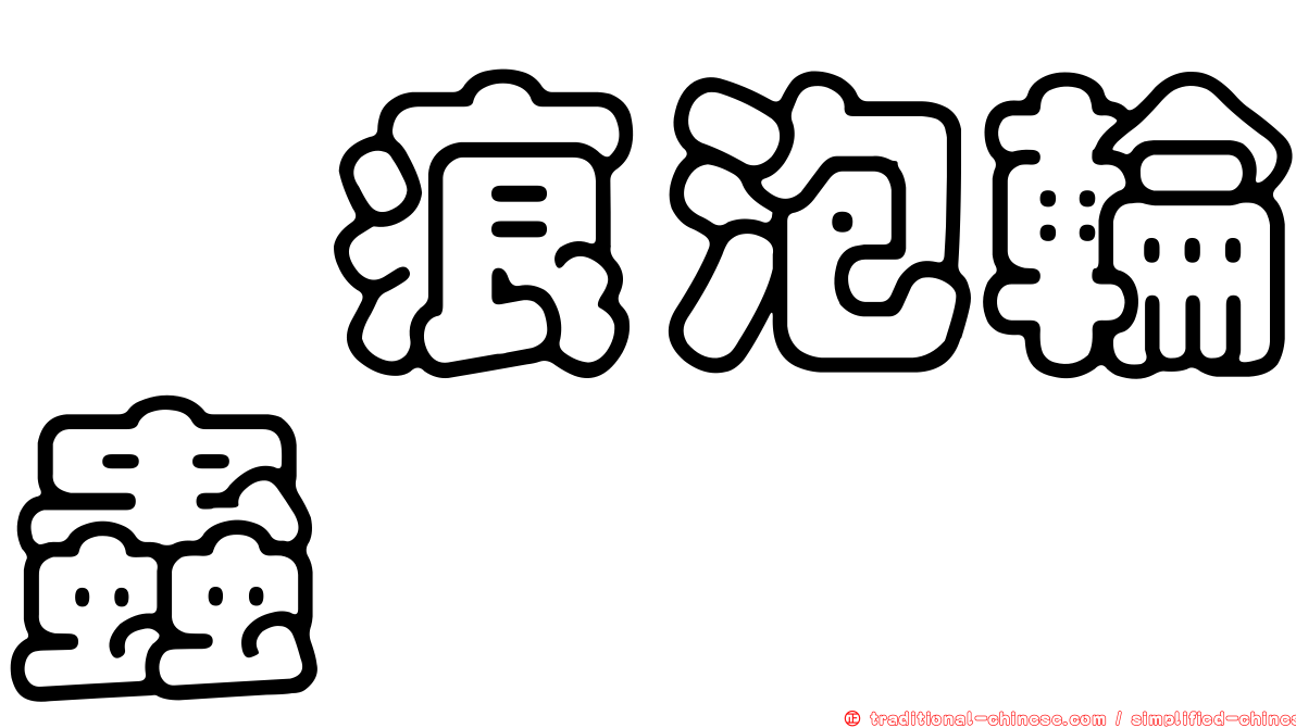 泃痕泡輪蟲