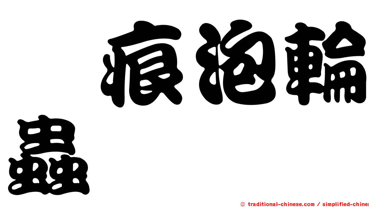 泃痕泡輪蟲