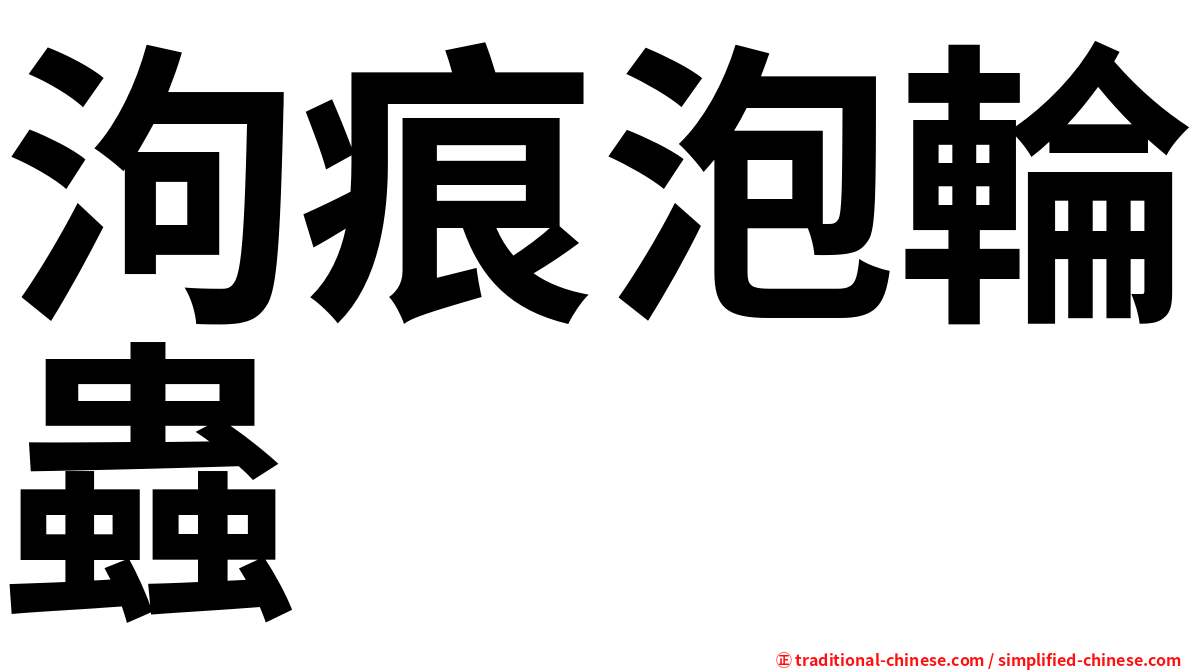 泃痕泡輪蟲