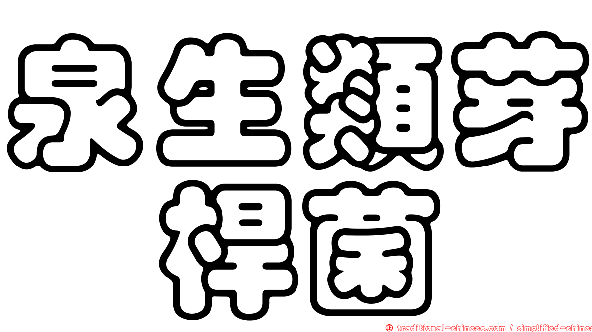 泉生類芽孢桿菌