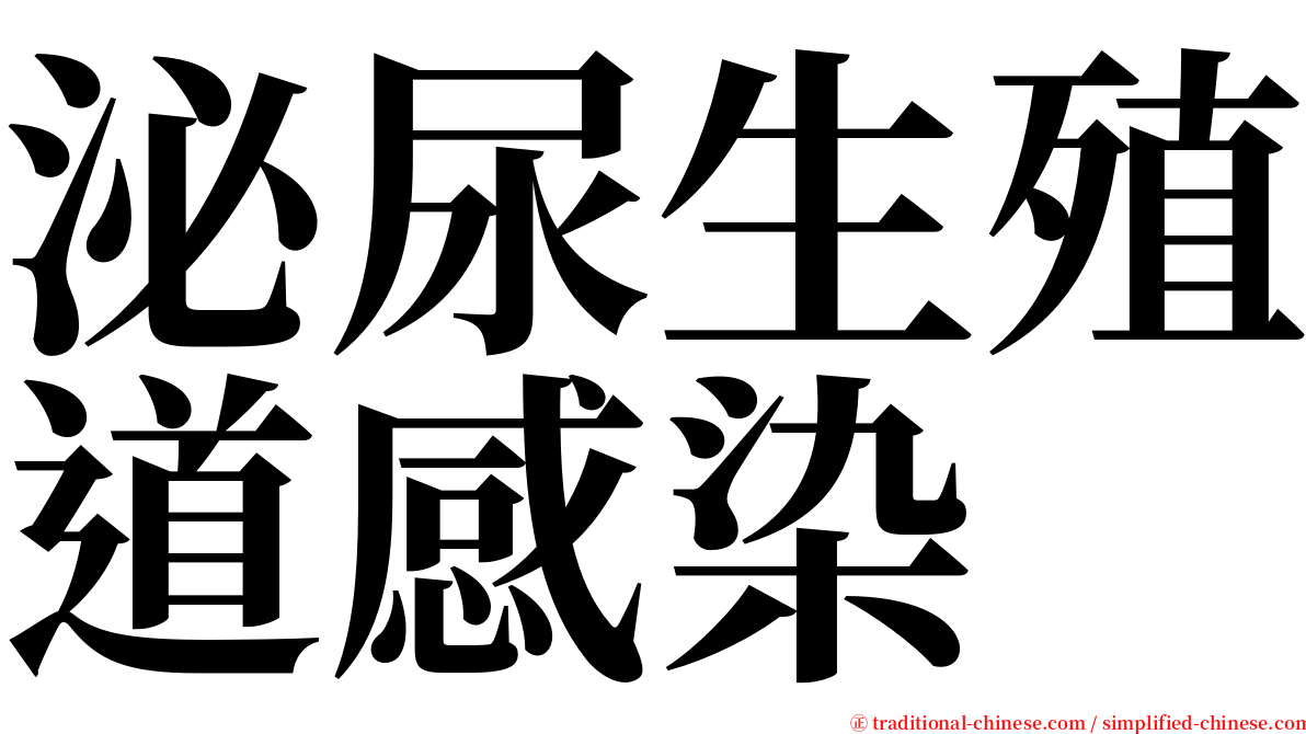 泌尿生殖道感染 serif font