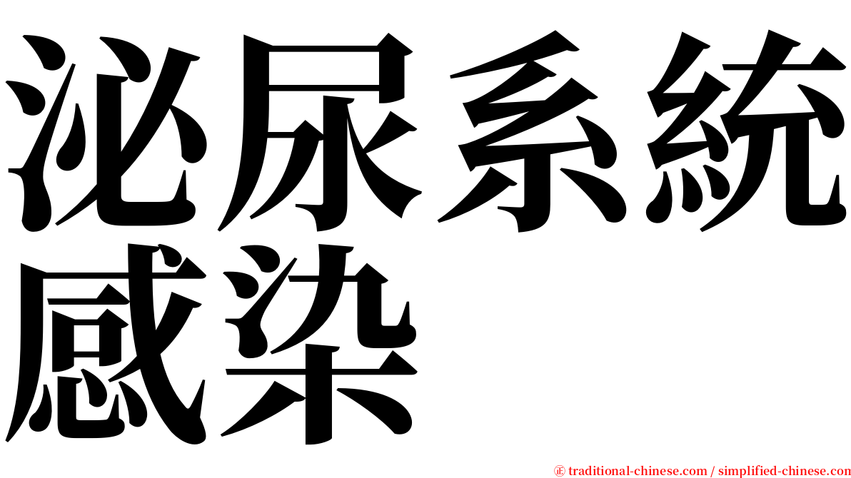 泌尿系統感染 serif font
