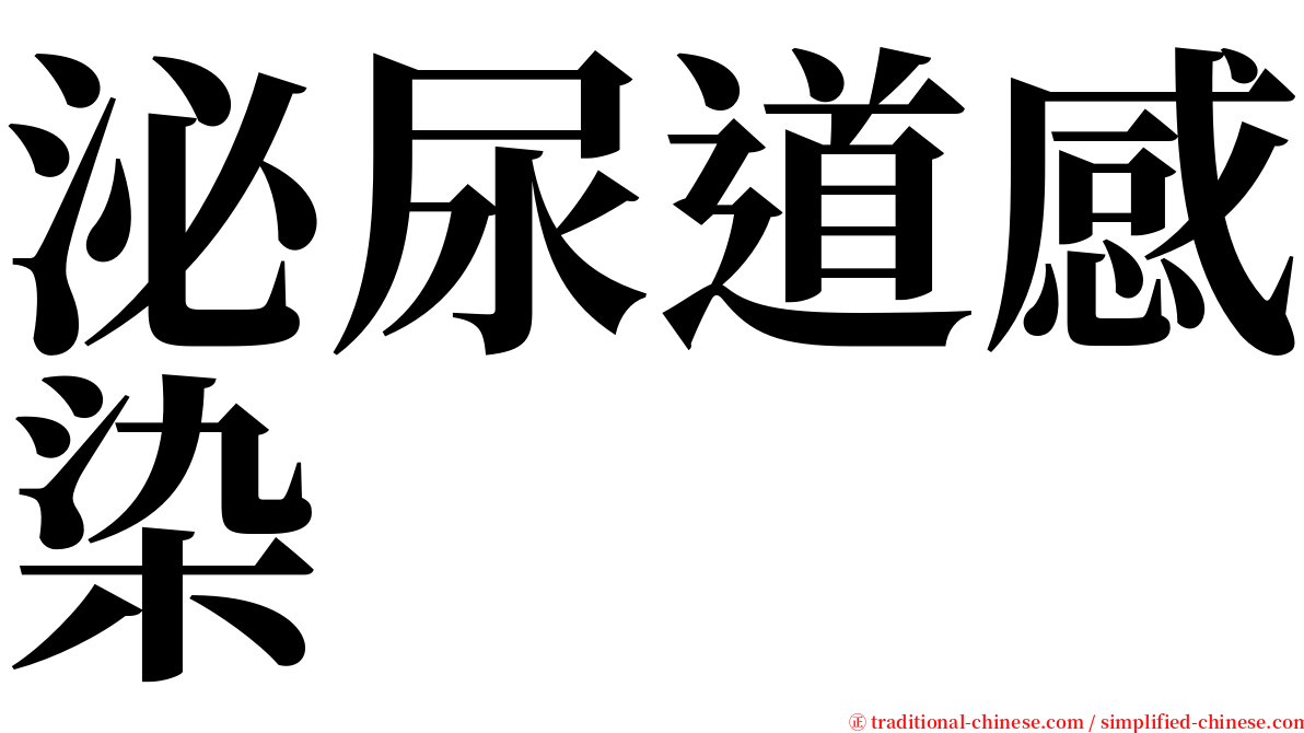 泌尿道感染 serif font