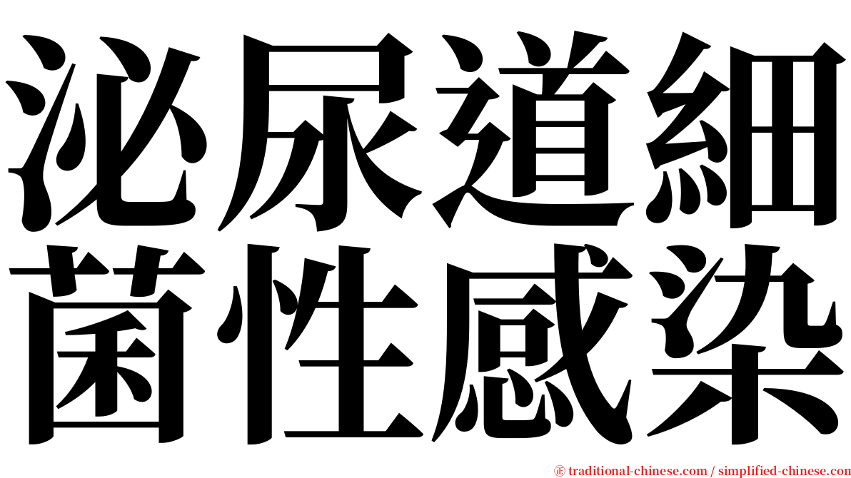 泌尿道細菌性感染 serif font
