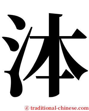 泍 serif font