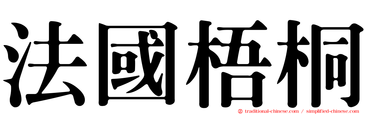 法國梧桐