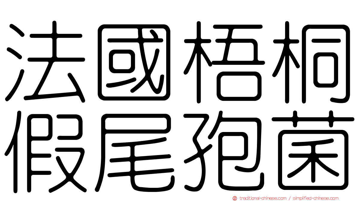 法國梧桐假尾孢菌