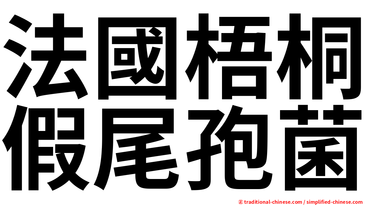 法國梧桐假尾孢菌
