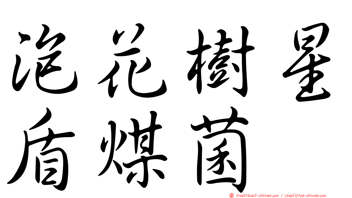 泡花樹星盾煤菌