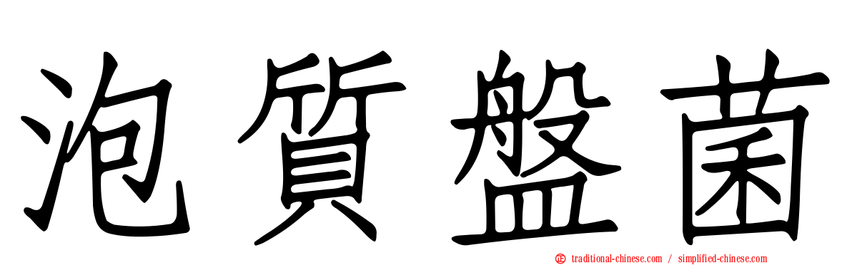 泡質盤菌