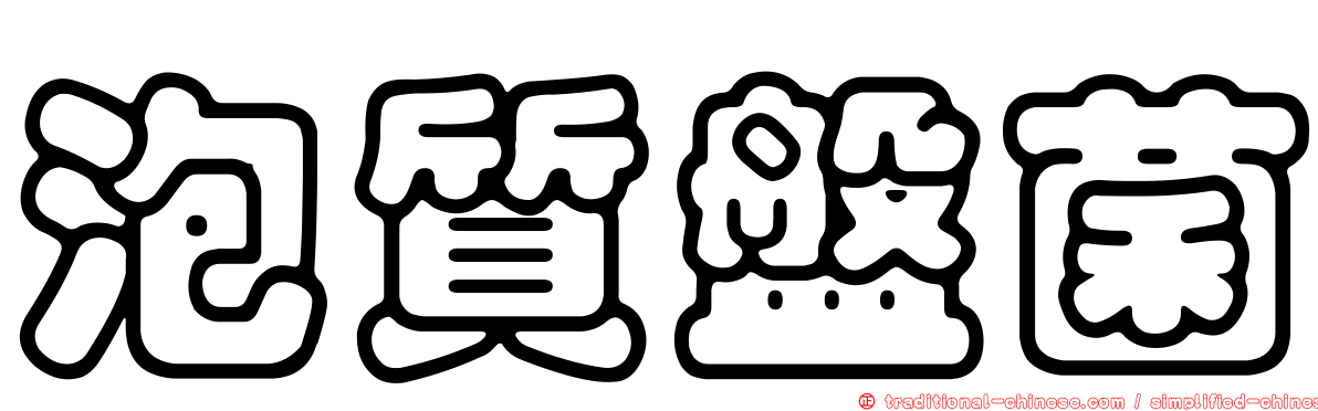 泡質盤菌