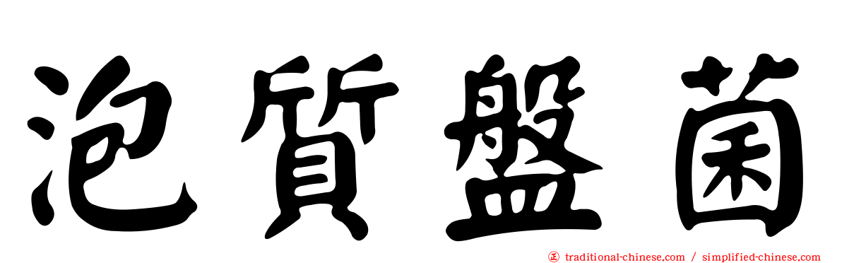 泡質盤菌